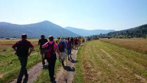 Pohodna kolona po barju proti dolini Coklarije